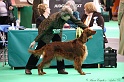 Crufts2011 399